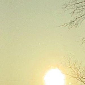 Meet your Posher, Dylan